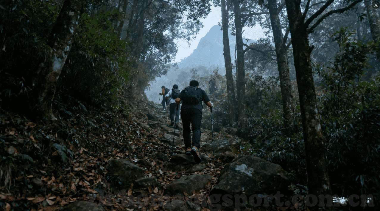 星空体育直播平台-星空体育直播平台，连接每一个热爱体育的心灵